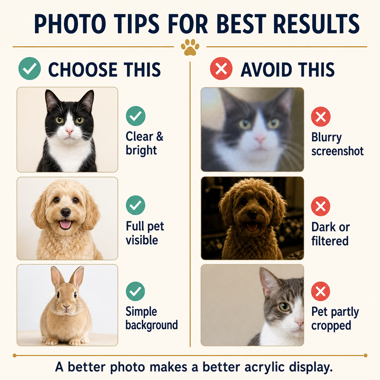 Custom Pet Acrylic Rocking Stand – Personalized Pet Photo Desk Decor
